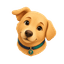 Tedi