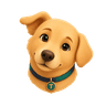 Tedi